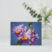 Cattleya Orchid Hybrid met Stille Oceaan Briefkaart (Staand voorkant)