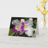 Cattleya Orchid Kaart (Gele Bloem)