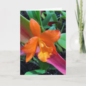 Cattleya Orchid Kaart (Voorkant)