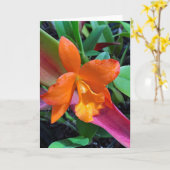 Cattleya Orchid Kaart (Gele Bloem)