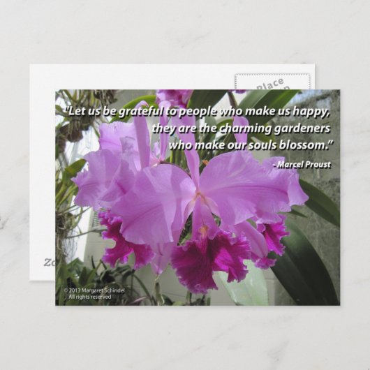 Cattleya Orchid Liefde en Vriendschap Briefkaart (Voorkant / Achterkant)