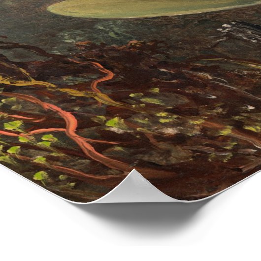 Cattleya Orchid - Martin Heade Fine Art Poster (Hoek)