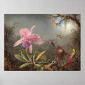 Cattleya Orchid - Martin Heade Fine Art Poster (Voorkant)