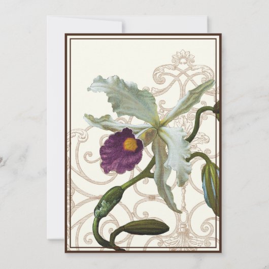 Cattleya Orchid Paars Brown - Weddenschap Kaart (Achterkant)