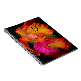 Cattleya Orchid Portrait Notitieboek