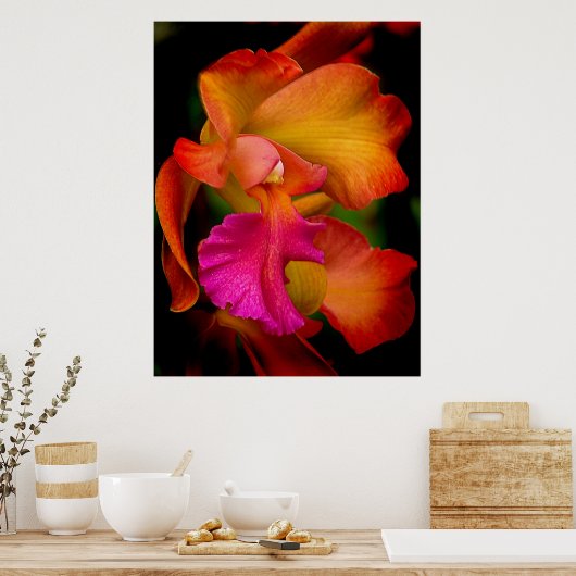 Cattleya Orchid Portrait Poster (Keuken)