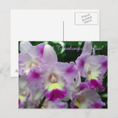 Cattleya Orchid Purple Flowers Briefkaart (Voorkant / Achterkant)