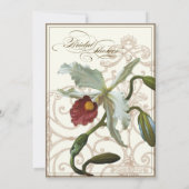 Cattleya Orchid taupe brown - Vrijgezellenfeest In Kaart (Achterkant)