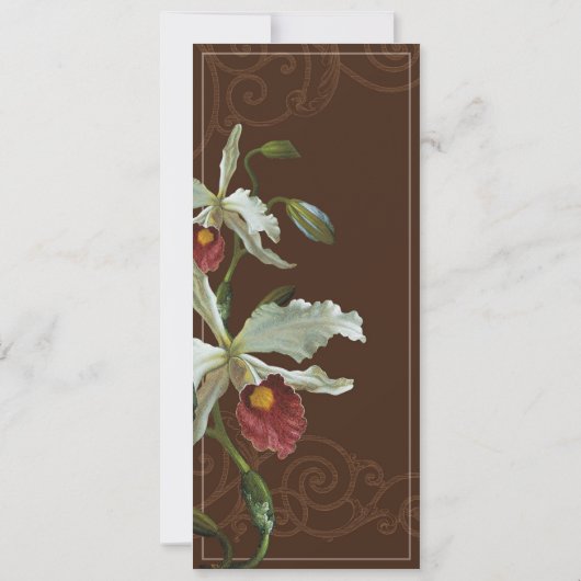 Cattleya Orchid taupe brown - Weddenschap Kaart (Achterkant)