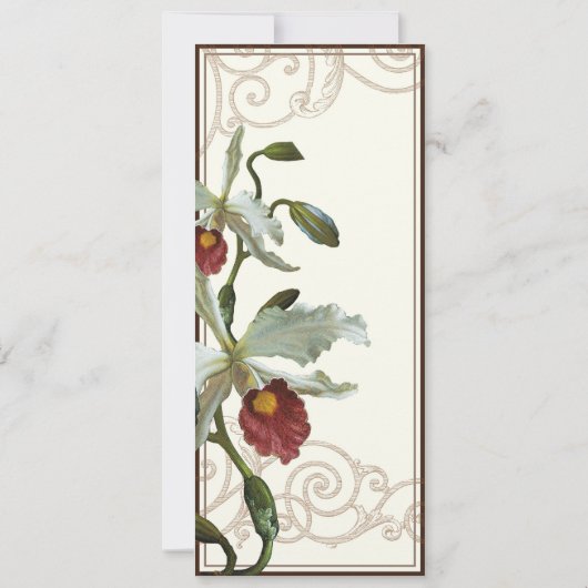 Cattleya Orchid taupe brown - Weddenschap Kaart (Achterkant)