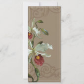 Cattleya Orchid taupe brown - Weddenschap Kaart (Achterkant)
