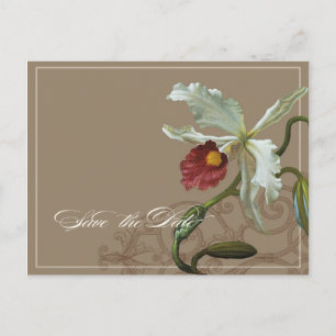 Cattleya Orchid Taupe - Save the Date Briefkaart