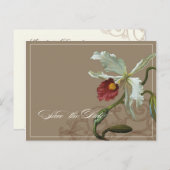 Cattleya Orchid Taupe - Save the Date Briefkaart (Voorkant / Achterkant)