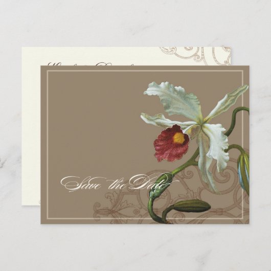Cattleya Orchid Taupe - Save the Date Briefkaart (Voorkant / Achterkant)