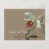 Cattleya Orchid Taupe - Save the Date Briefkaart (Voorkant)