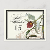 Cattleya Orchid taupe - Tafel Plaatskaart Nummers Briefkaart (Achterkant)