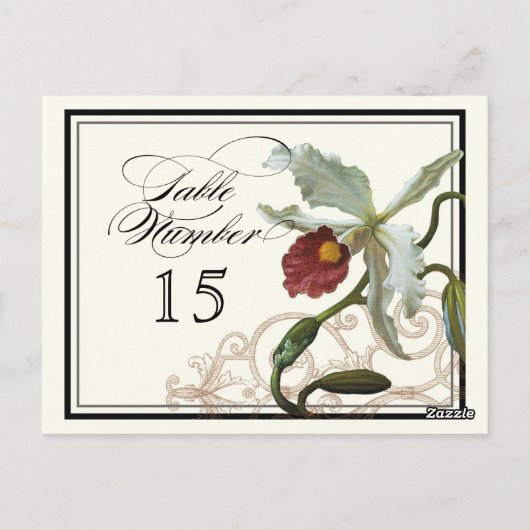 Cattleya Orchid taupe - Tafel Plaatskaart Nummers Briefkaart (Achterkant)