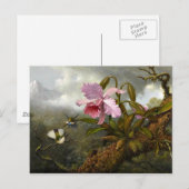 Cattleya Orchid, Two Hummingbird and a Beetle Briefkaart (Voorkant / Achterkant)