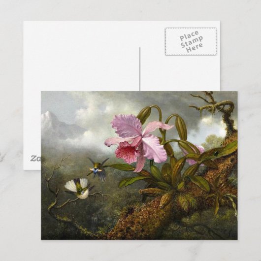 Cattleya Orchid, Two Hummingbird and a Beetle Briefkaart (Voorkant / Achterkant)