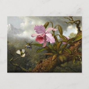 Cattleya Orchid, Two Hummingbird and a Beetle Briefkaart