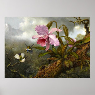 Cattleya Orchid, Two Hummingbird and a Beetle Poster