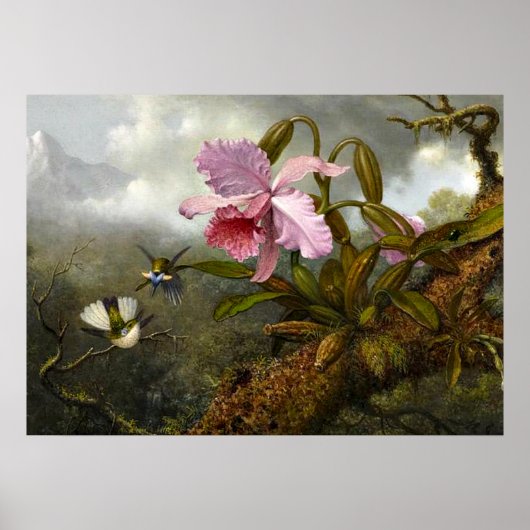 Cattleya Orchid, Two Hummingbird and a Beetle Poster (Voorkant)
