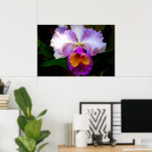 Cattleya Orchid - White/Paars/Yellow Poster (Thuiskantoor)