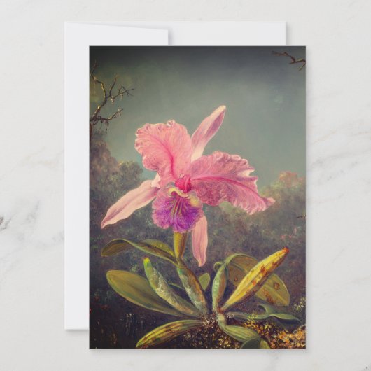 Cattleya Orchidee en Drie Kolibries Heade Kaart (Voorkant)