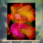 Cattleya Orchidee Portret Acryl Bord (Neutraal)