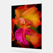 Cattleya Orchidee Portret Acryl Bord (Hoek)