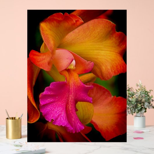 Cattleya Orchidee Portret Acryl Bord (Huwelijk)
