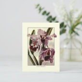 Cattleya orchideeën briefkaart (Staand voorkant)