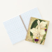 Cattleya quadricolor Spiraal Notebook Notitieboek (Binnen)