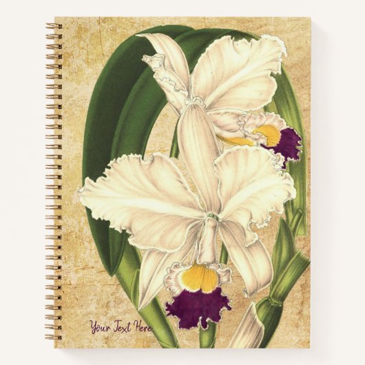 Cattleya quadricolor Spiraal Notebook Notitieboek (Voorkant)