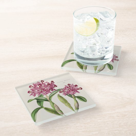 Cattleya skinneri door Bateman Orchid Print Glazen Onderzetter (Schuin)