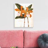 Cattleya Velutina  Lindenia Orchid Canvas Afdruk (Insitu (Woonkamer))