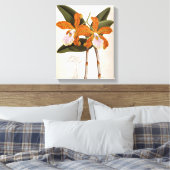 Cattleya Velutina  Lindenia Orchid Canvas Afdruk (Insitu (Slaapkamer))