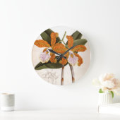 Cattleya Velutina  Lindenia Orchid Grote Klok (Huis)