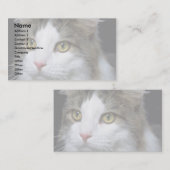 Catty Visitekaartje (Voorkant / Achterkant)