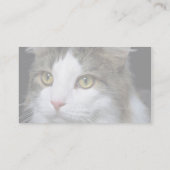 Catty Visitekaartje (Achterkant)