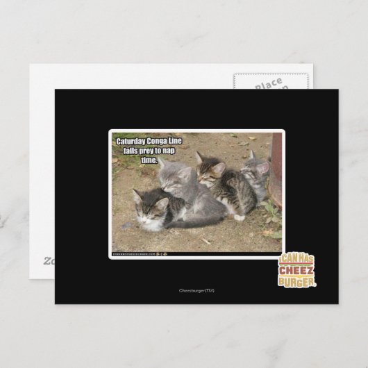 Caturday Conga Line Briefkaart (Voorkant / Achterkant)