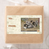 Caturday Conga Line Etiket (Insitu)