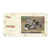 Caturday Conga Line Etiket (Voorkant)