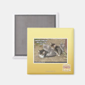 Caturday Conga Line Magneet (Voorkant / Achterkant)