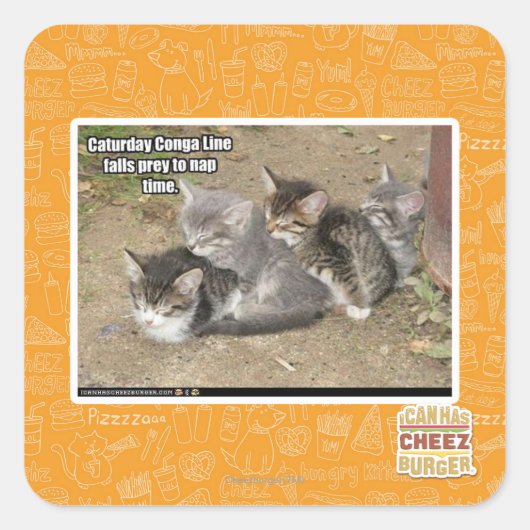 Caturday Conga Line Vierkante Sticker (Voorkant)