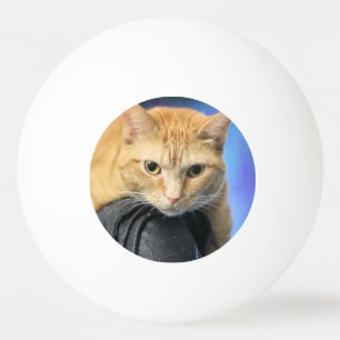 Caturday Pingpongbal