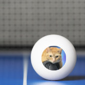 Caturday Pingpongbal (Net)