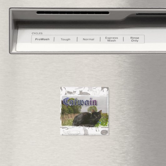 Catwain Magneet (Insitu (Vaatwasser))