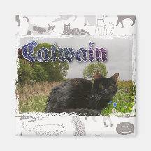 Catwain