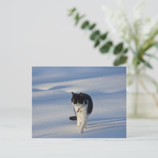 Catwalk CC0093 Briefkaart (Staand voorkant)